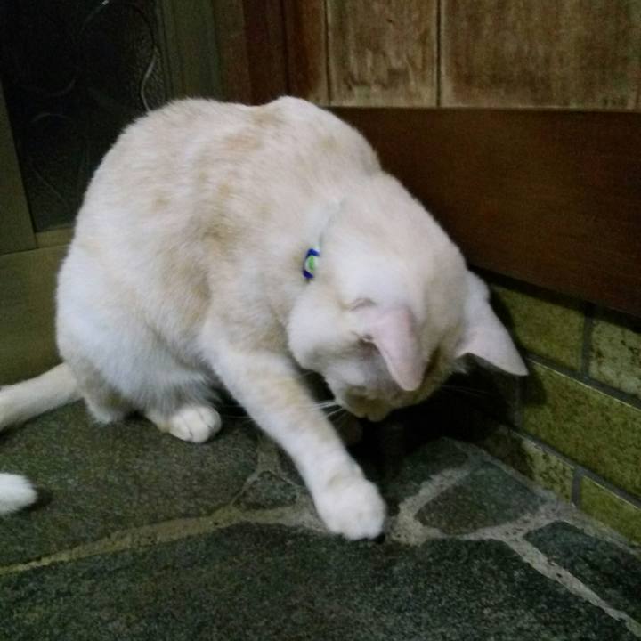 12f1f461 94ed 4f85 a287 967c227618af