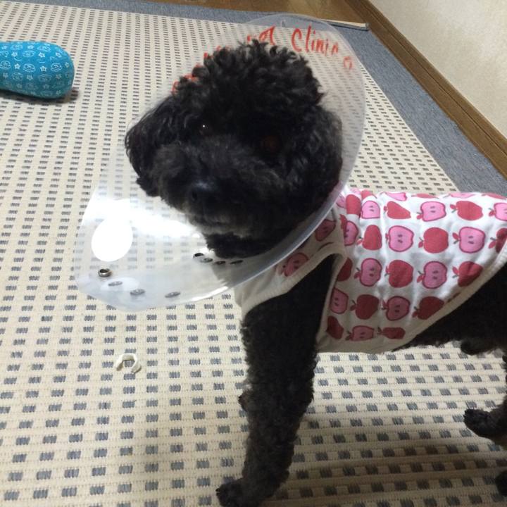 12f214d3 43f1 426e ae61 16f3ffe5eaeb