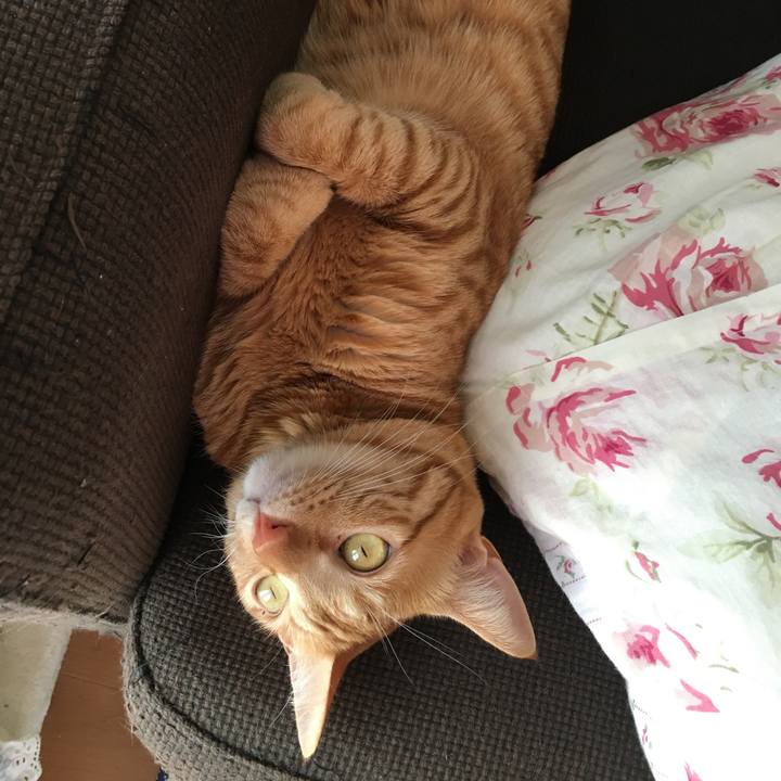 12f22282 5fc9 41db a758 346c68bc95a5