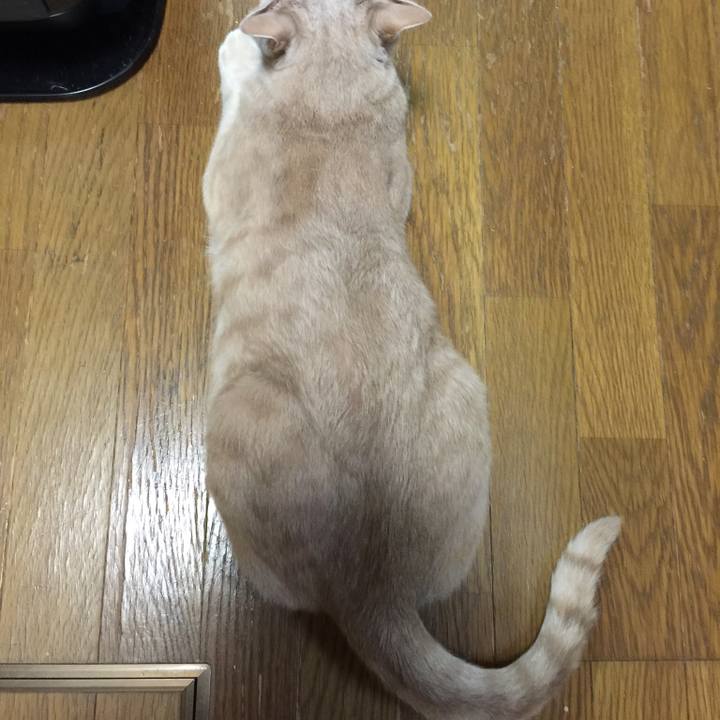 12f22b66 e2f8 4d0b a211 8038e6ab0497