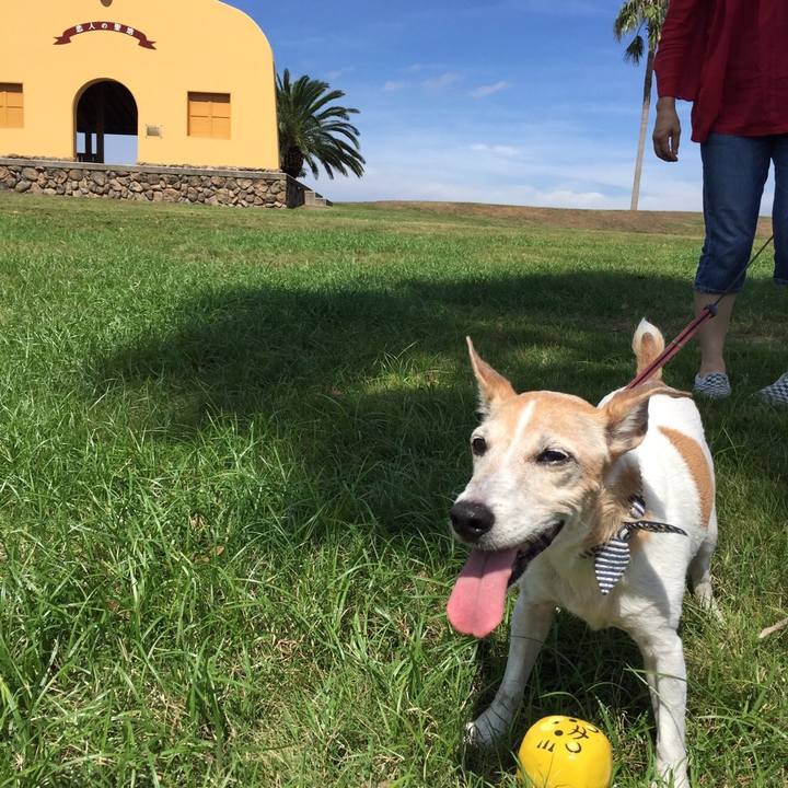 12f27a44 c123 41ae 9a01 8a2d91a4e771