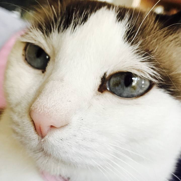 12f3299b b6fa 465b 9307 d7b75393b222