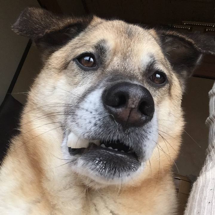 12f42bd6 ba70 4599 8be2 6f38468f7868