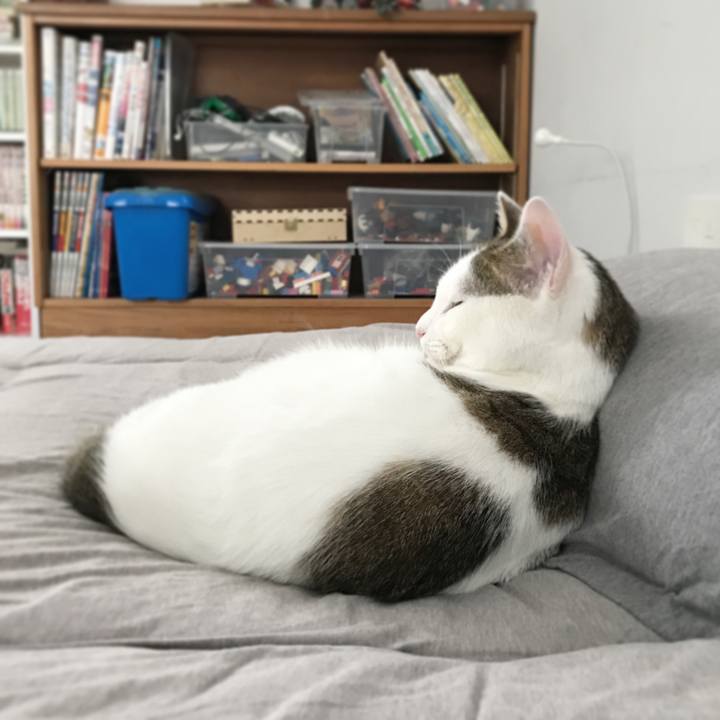 12f45a8d c712 44ae 95f3 20f6ebad6f70