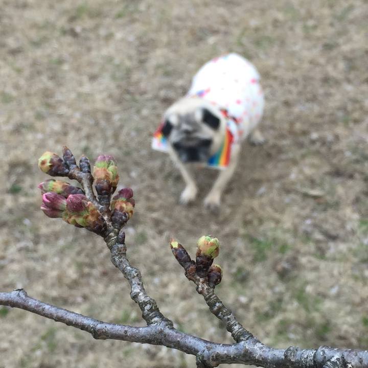 12f47a2b 83df 4b7c b0ac 4efc5670be54