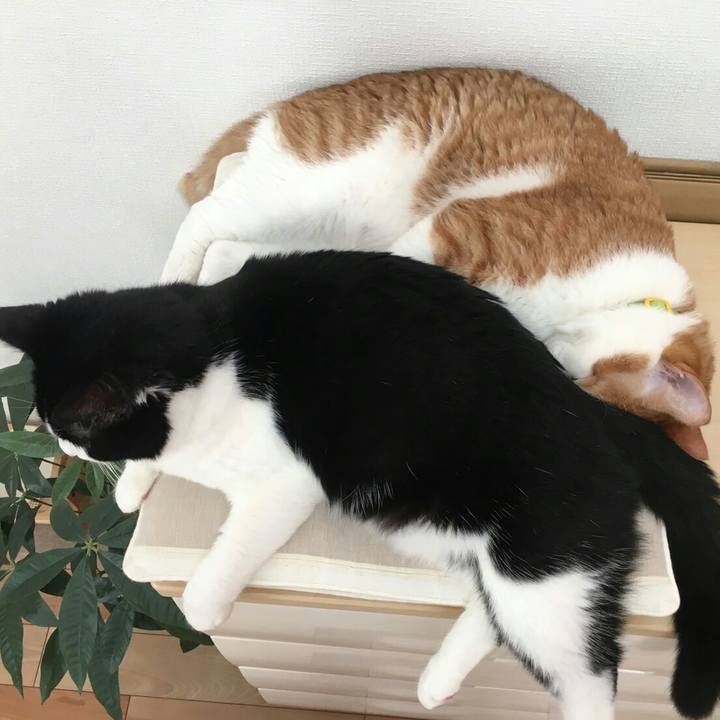 12f4e210 c30b 4d7b b0e0 f84765bf4f41