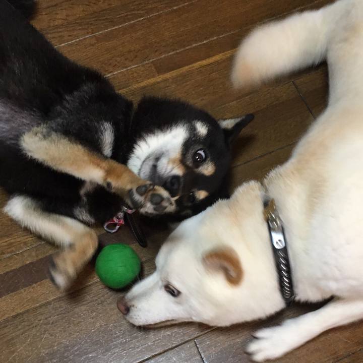 12f5199d af04 4f05 8151 03759bee5b01