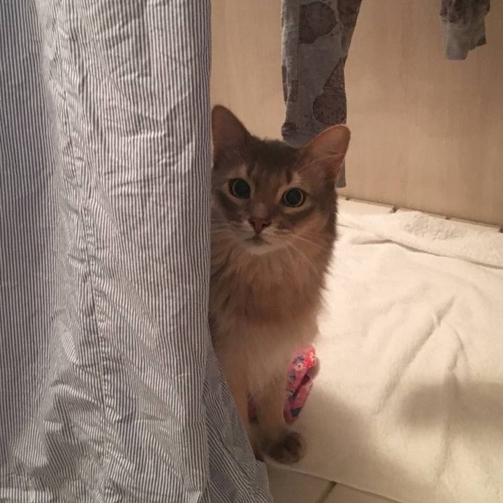 12f61356 10c3 4d03 8f0f 8f05b4bd3c90