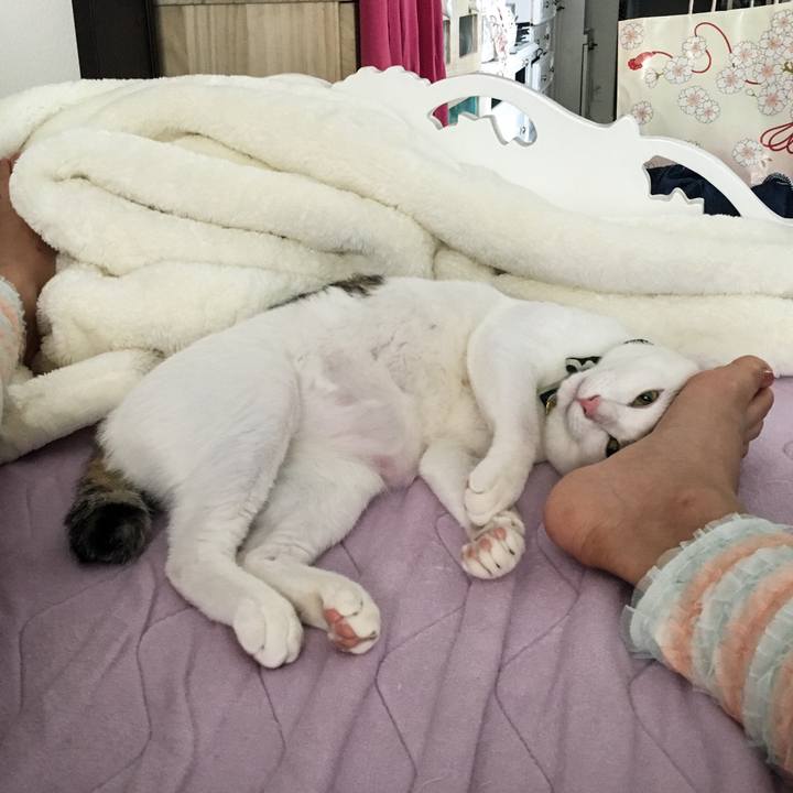 12f67938 b5bb 4a3b 8da9 f2d5c995557b