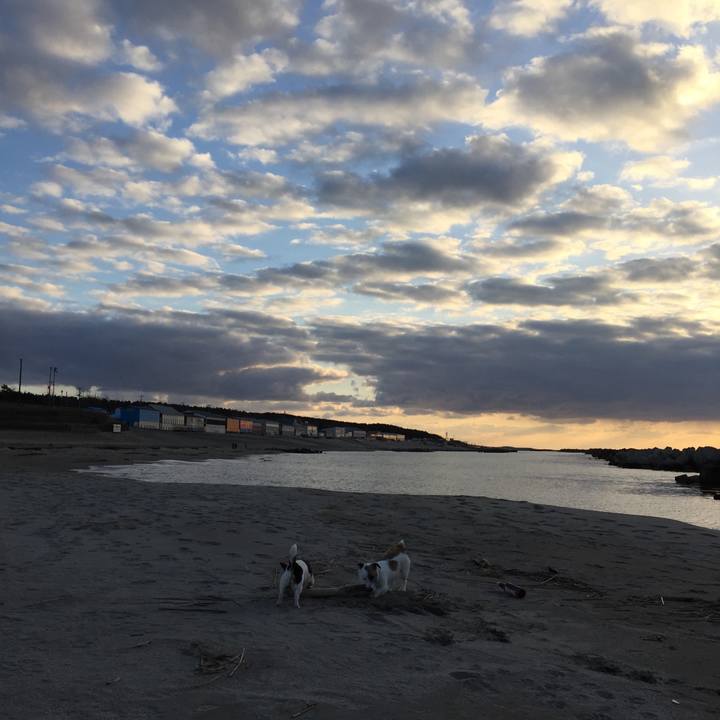 12f6c9a8 2978 4595 8a46 e7d36095528e