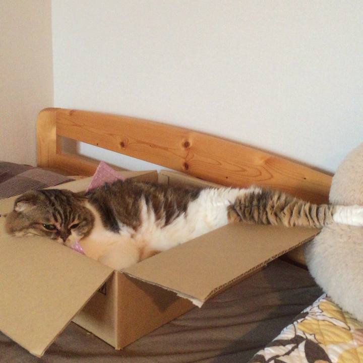 12f70d2d 2835 491c a737 ceadaf98db81