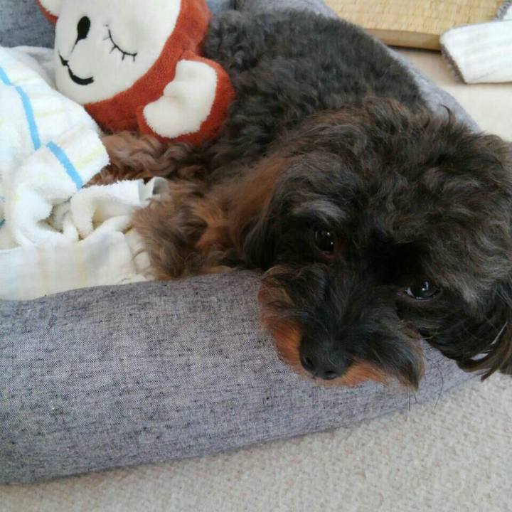 12f7782a 6cc4 4d75 938b 529e0f0b0c33