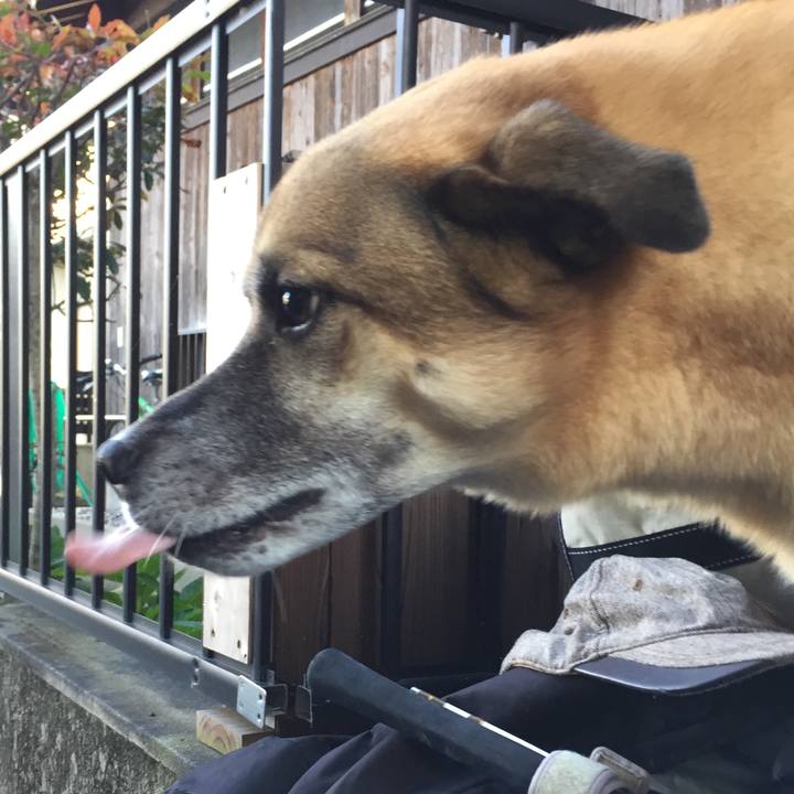 12f7bc5a 9398 4560 adc4 2d0b8164cb53