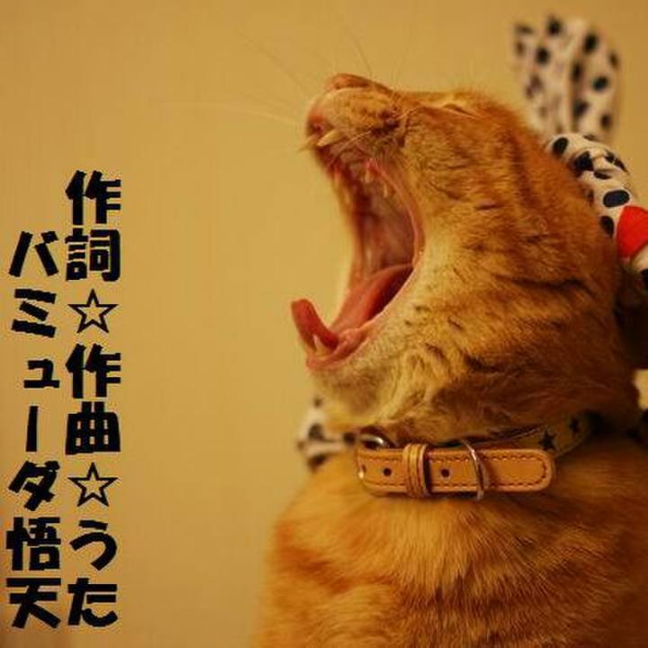 12f7ded9 4131 4d13 a3ff 02103dc21656