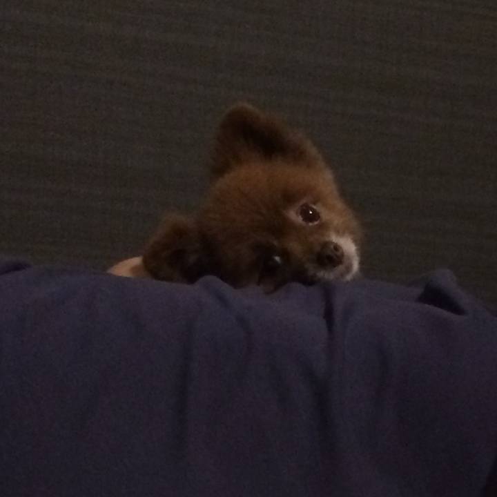 12f7f585 f42a 48ec a492 3108b9bbe910