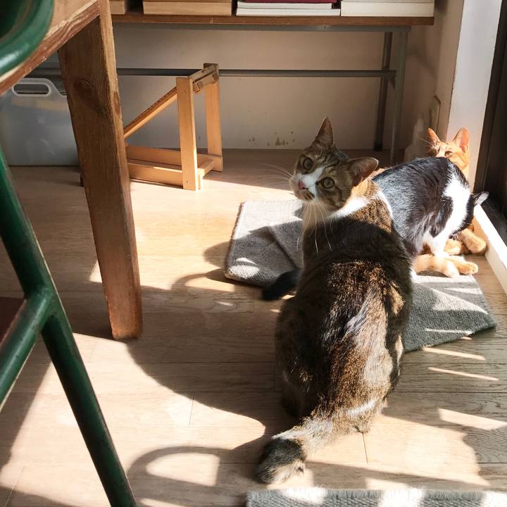 12f802bf 2ad0 481b 90ee 5dd9898176eb