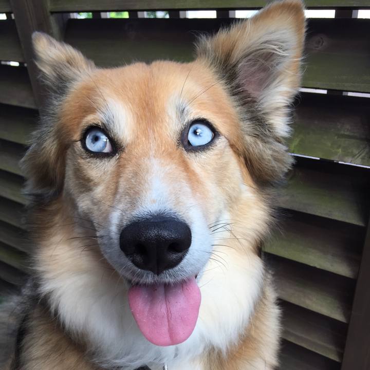 12f8f3df e28a 499a 8fc1 1ba960ef568f