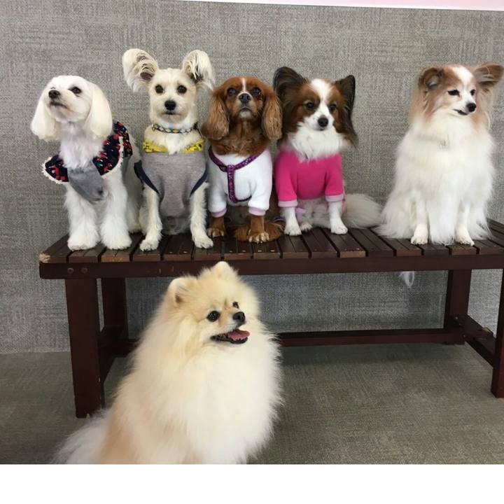 12f95758 b117 47b9 ae73 be39b46ca38c