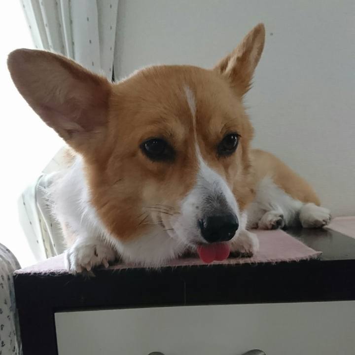 12f97289 5c13 4d5f 91f9 3dfae0d915a5