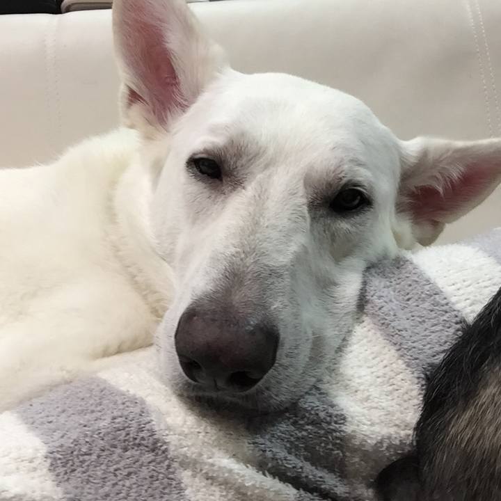 12f9cf2b f3f6 4921 b734 74eaf488afd6