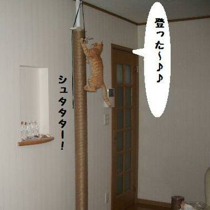 12fa6ce9 8a70 4c36 859b 55e1652d0953