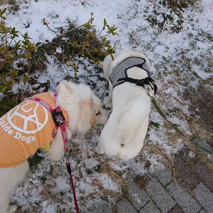 12fab780 daff 4df4 9743 01fd8438a7cd