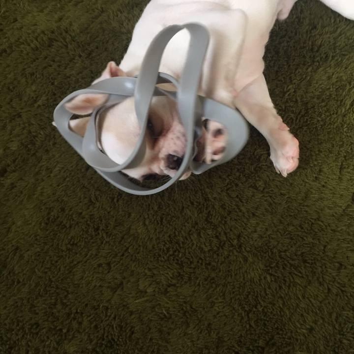 12fafb77 5f76 476a aa28 30011bf00941