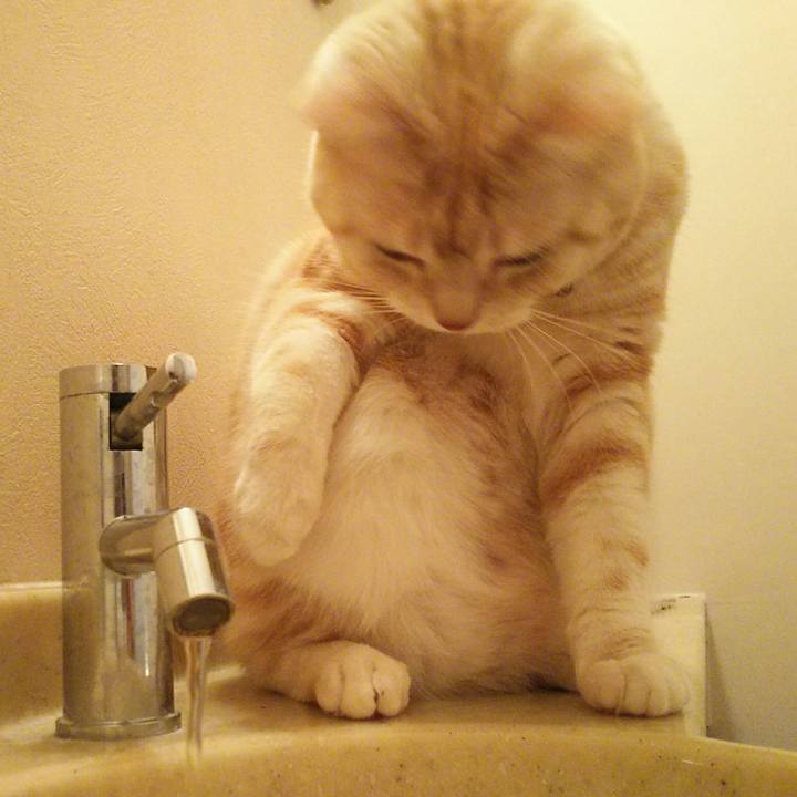 12fb158c 39b7 45c0 9a15 7e6024ff46c1