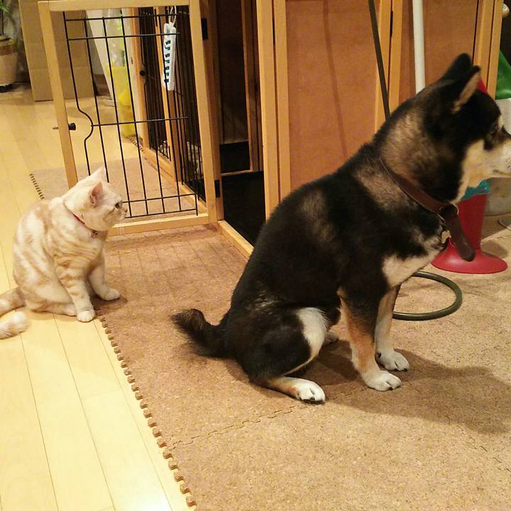 12fb5cdd 4619 4ce0 8de2 b1adac164f40