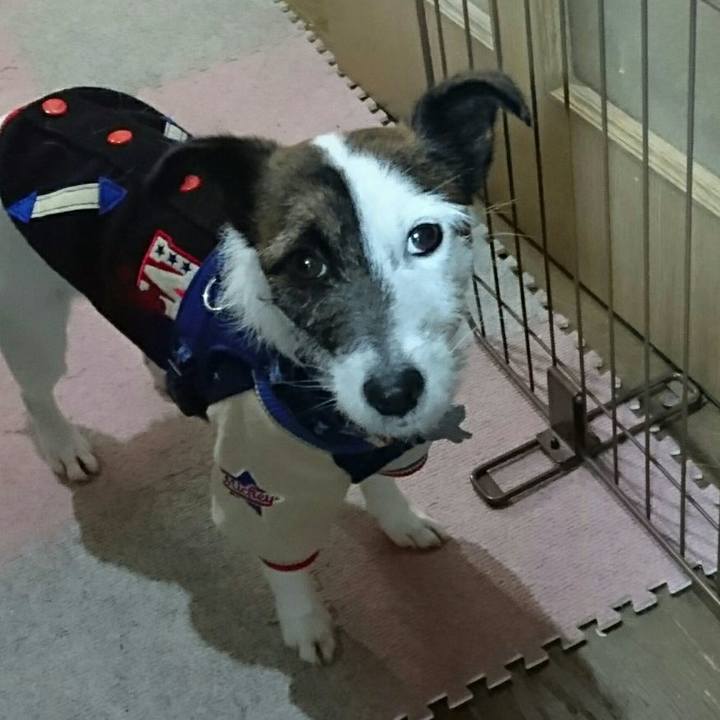 12fbb27f bb31 4282 9e53 8e42b6cf5345