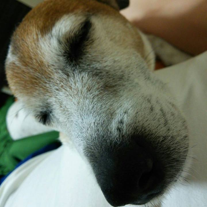 12fc0d6a ec36 4427 96ab cd67408f38c0