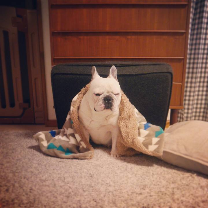 12fc7e87 f3dd 4235 b191 ecb9dd2f678c