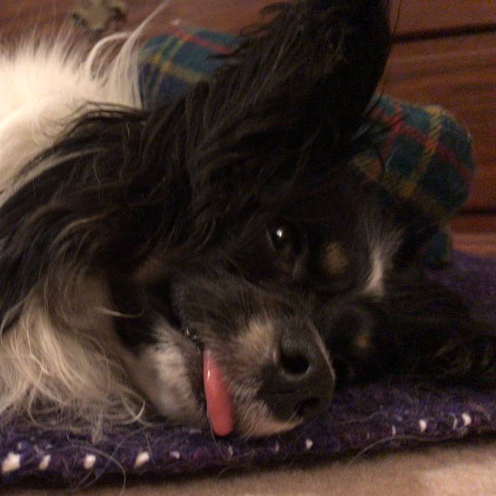 12fc8b22 ed21 4ff3 8bde 650a642ab29d