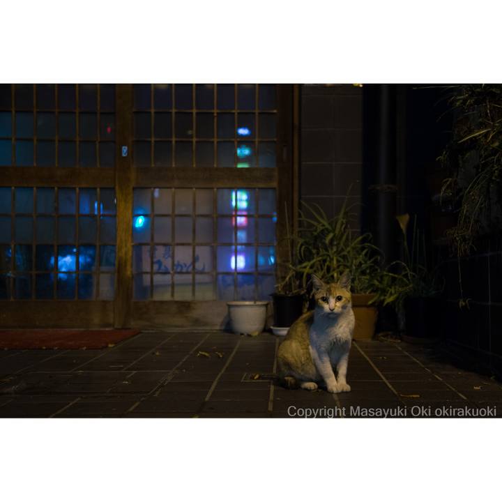 12fc9ab7 4cb8 4d86 9e79 0320638c77de