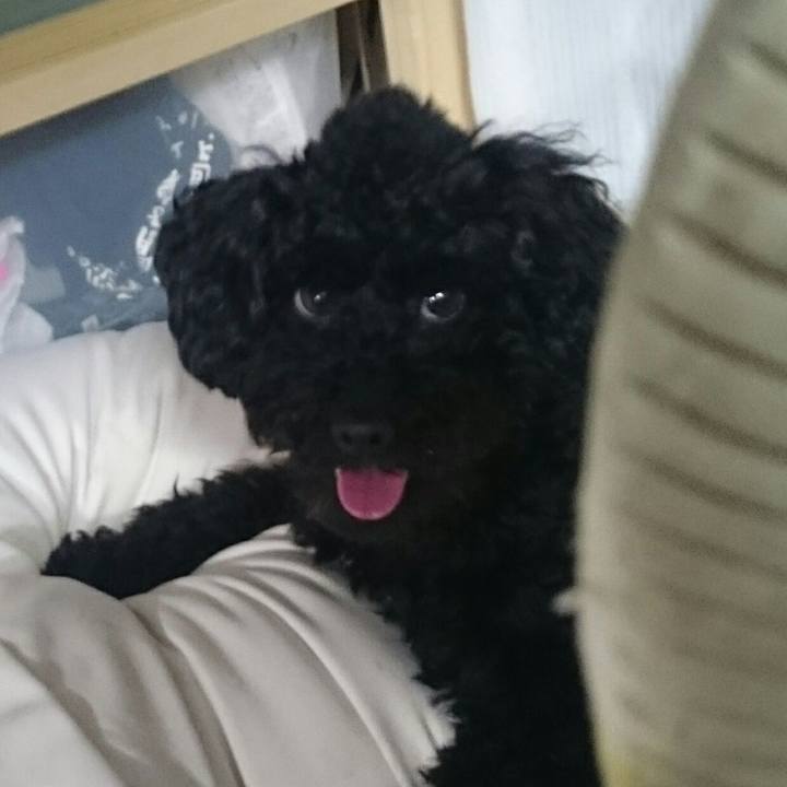 12fd3da3 9b27 48c9 b8cf 920cafbb7a3c