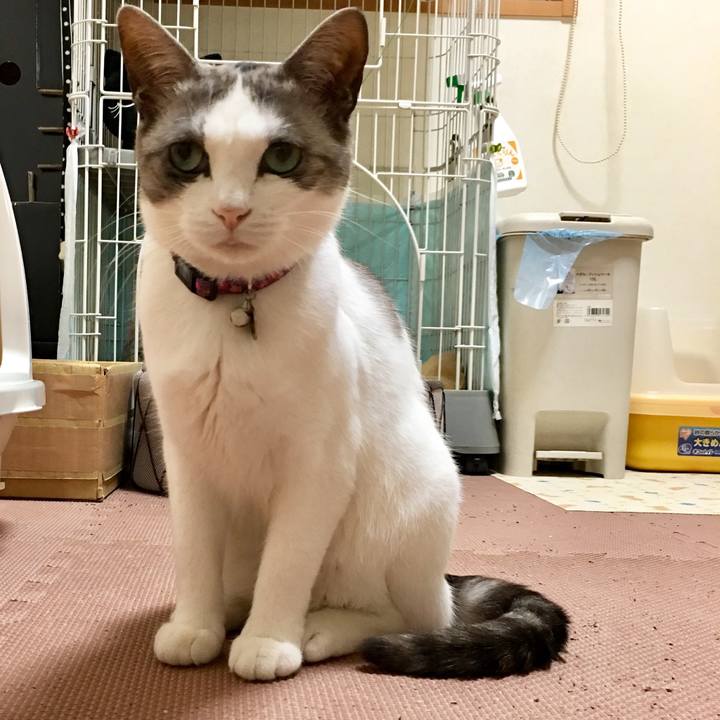 12fd5c8a eb76 4914 a783 e1ddd264c47a