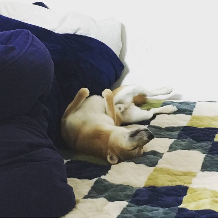 12fd9de1 d68e 46d3 b9d1 409adc65064e