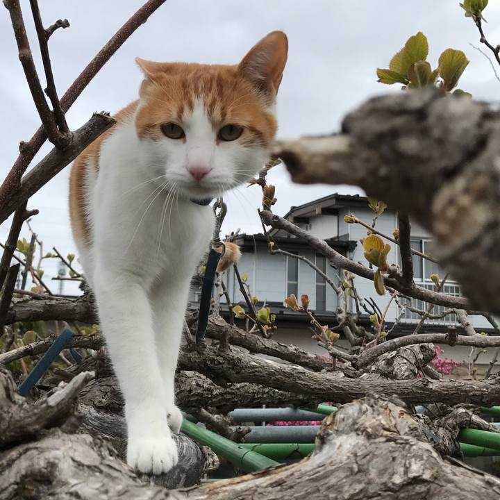 12fda37d 3ca0 43f1 b042 71e4eca08570