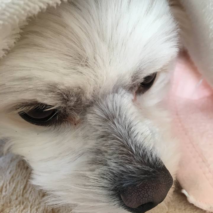 12fdbbac de7e 417d 8c10 750d6a8ca4e7