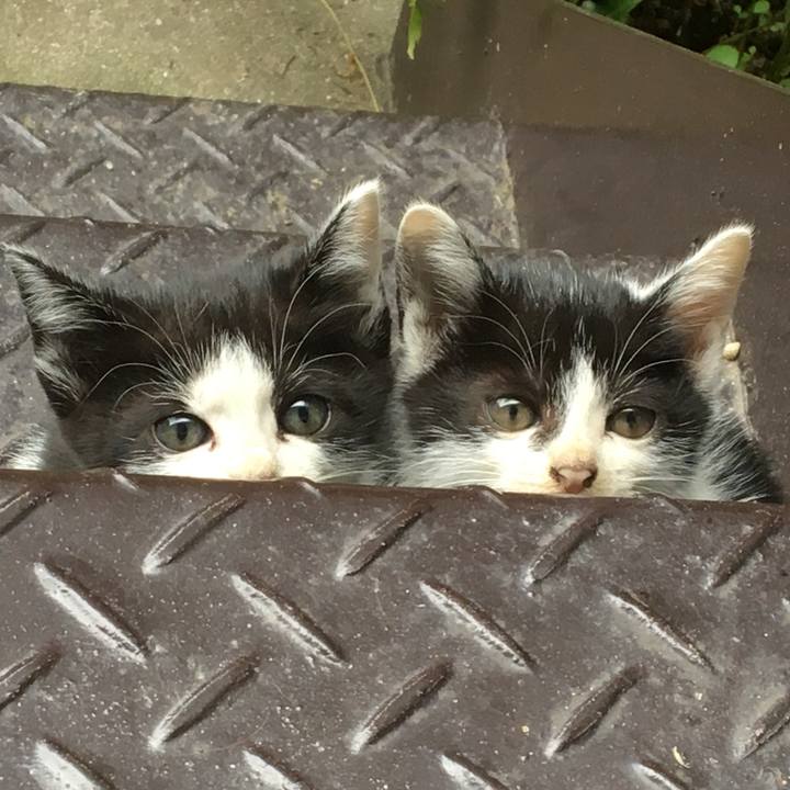 12fdfada 25d2 412d bda5 bfd7d0872b95