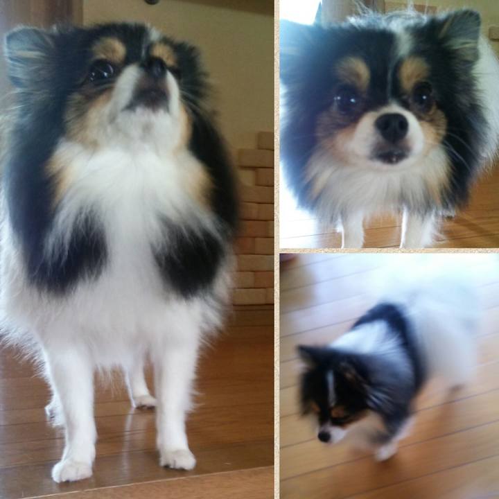 12fdfb05 1a54 40ec acdc f7fa4e593e10