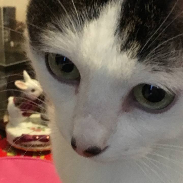 12fe1645 d36d 4c7c bcde ed31fbf0f94b