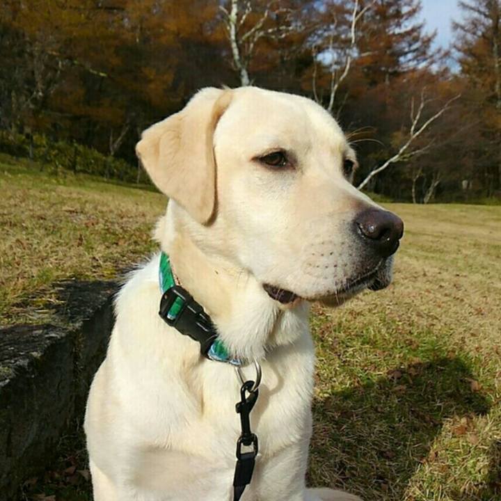 12fe42e4 3b80 440f ac34 5bd492dc8062