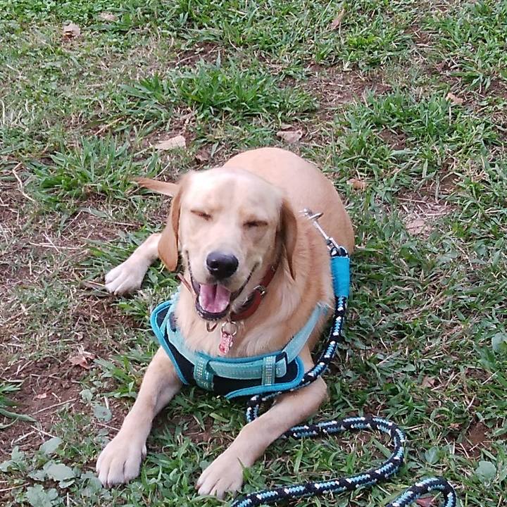 12fe7b6b 34a8 4bab ad77 64aac097ac04