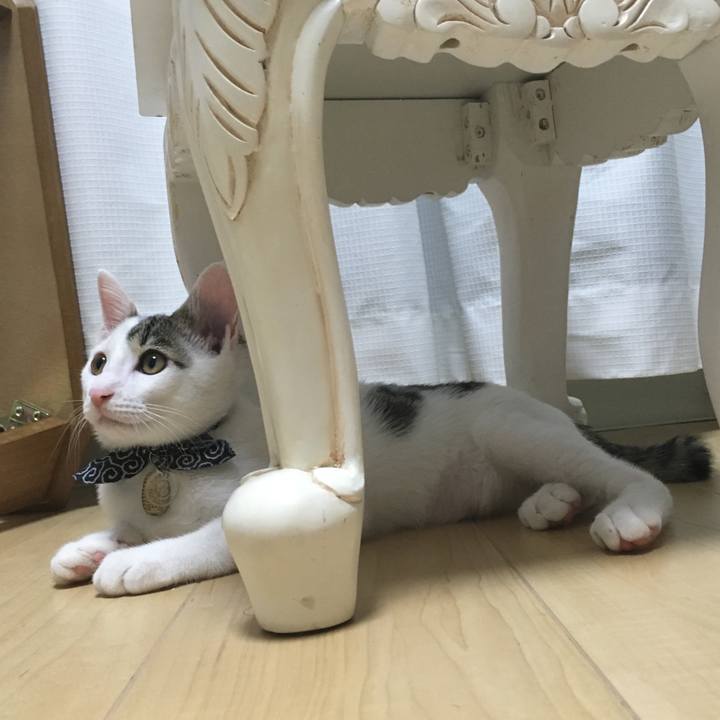 12fed434 a1d7 417d b623 45508eee64bf