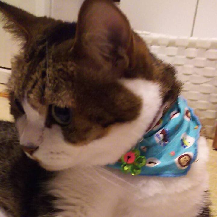 12ff8d80 a494 4dab a5e4 3182e17770f6