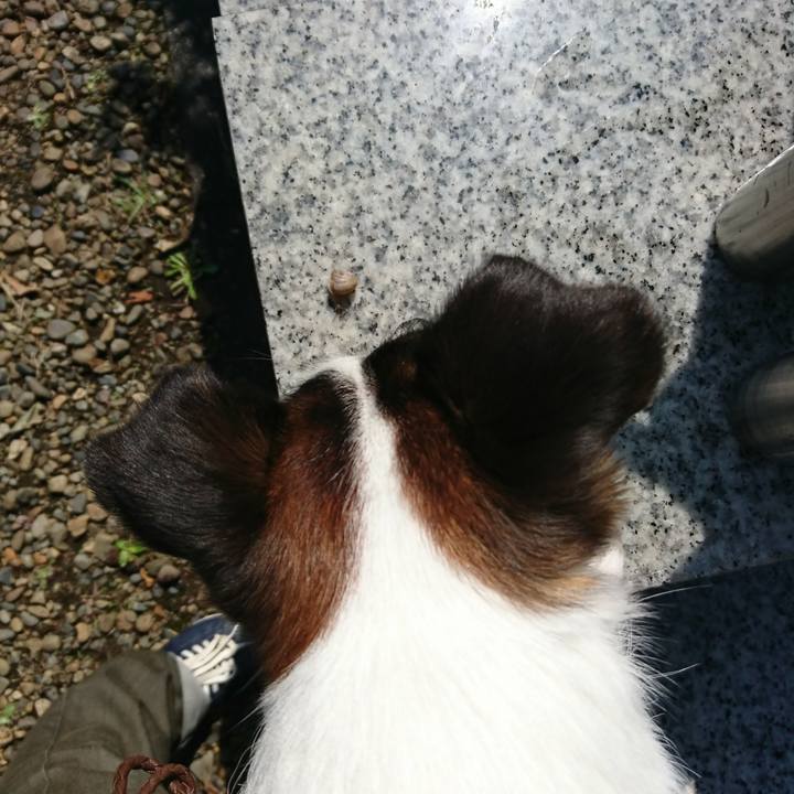 12ff9823 4755 439e a7e0 02bfa422af6e