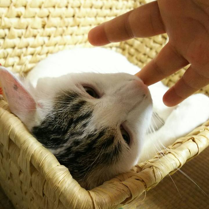 130020ea 93a5 4ed4 b146 388a557e91a2