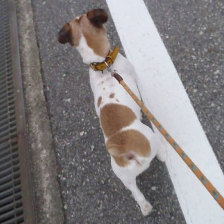 13008c7f 5ef7 40e3 bd73 5a59974e65ef