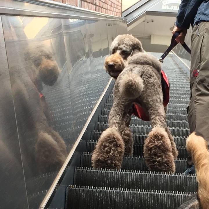 1300979f 3de8 4990 b653 6248192b4676